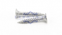 Stainless Steel Drywall Screw Fasteners