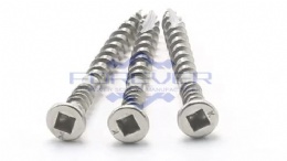 Special Din 7505 Chipboard Screw