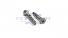 Stainless Steel Torx Drive Flat Head Self Tapping Screws