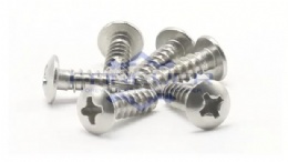 Phillips Truss Head Self Tapping Screws