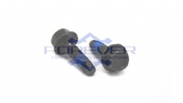 Black Zinc Hex Washer Head with Dog Point Machine Screws