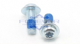 Torx Drive Machine Thread Screw with Nylock