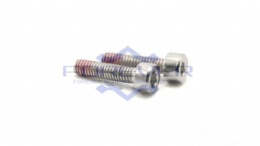 Stainless Steel Cap Head Lock Screws