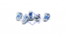 Hex Drive Pan Head Lock Screws