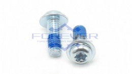 Torx Drive Pan Washer Head Self Tightening Screws