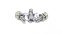 Stainless Steel Hex Socket Cap Head Sems ScrewS