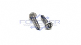 Pin in Pentagonal Pan Head Machine Screws