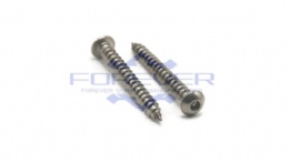 Pin in Hex Round Head Screws