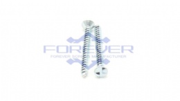 One Way Flat Head Security Screws