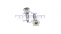 Tamper Proof Flat Head Screws Pin in Hex