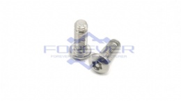 Tamper Proof Torx Screws with Pin