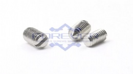 Slotted Set Screws with Cone Point