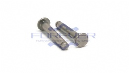 Flat Head Rivet