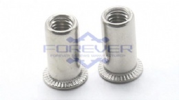 Stainless Steel 304 Rivet Nut